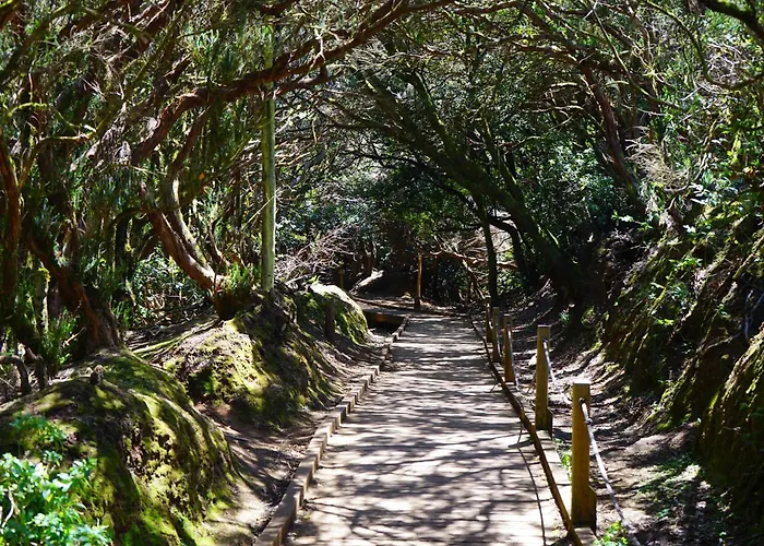 Casa Sami * Playa de las Americas (Tenerife)